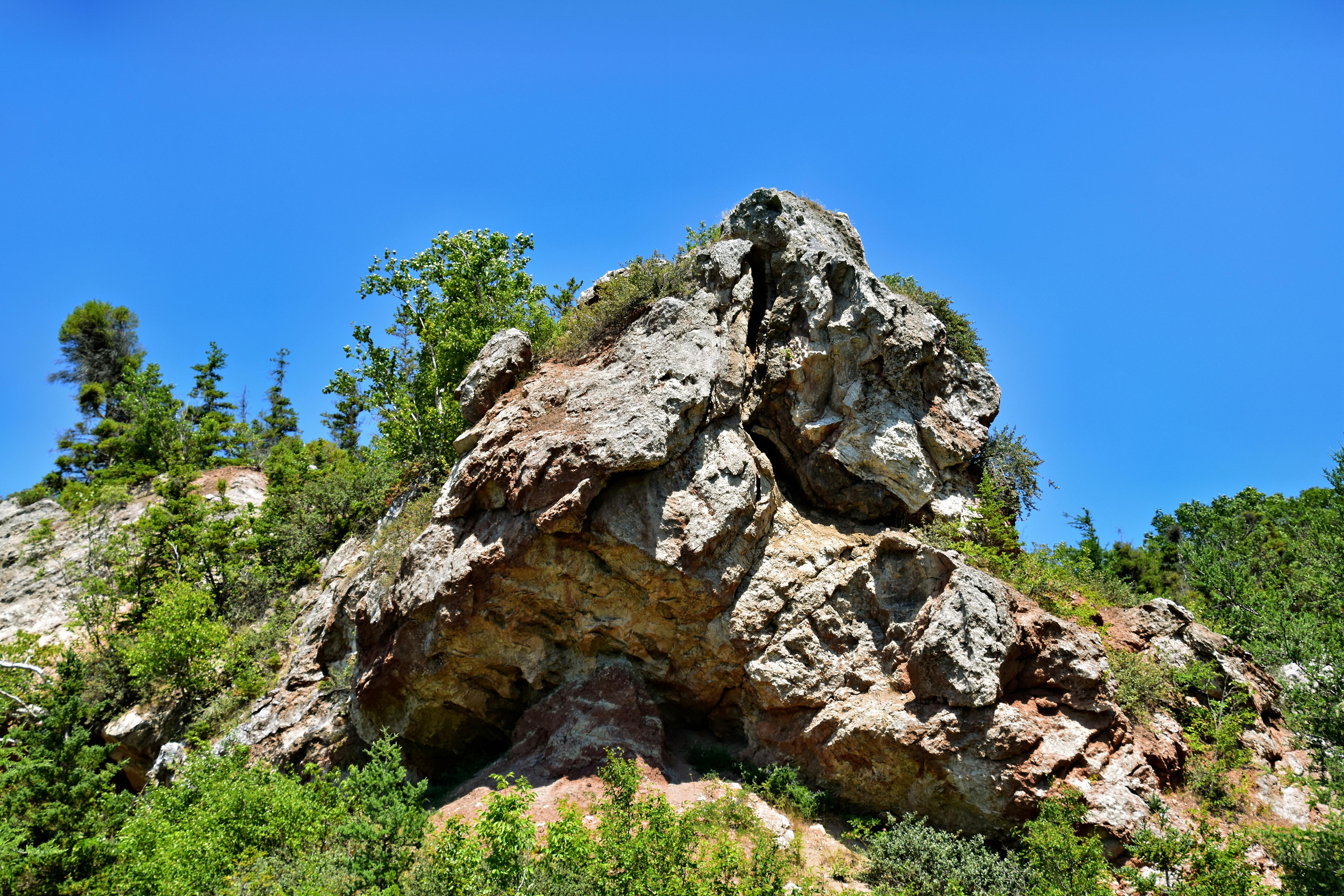 Landscape Detail