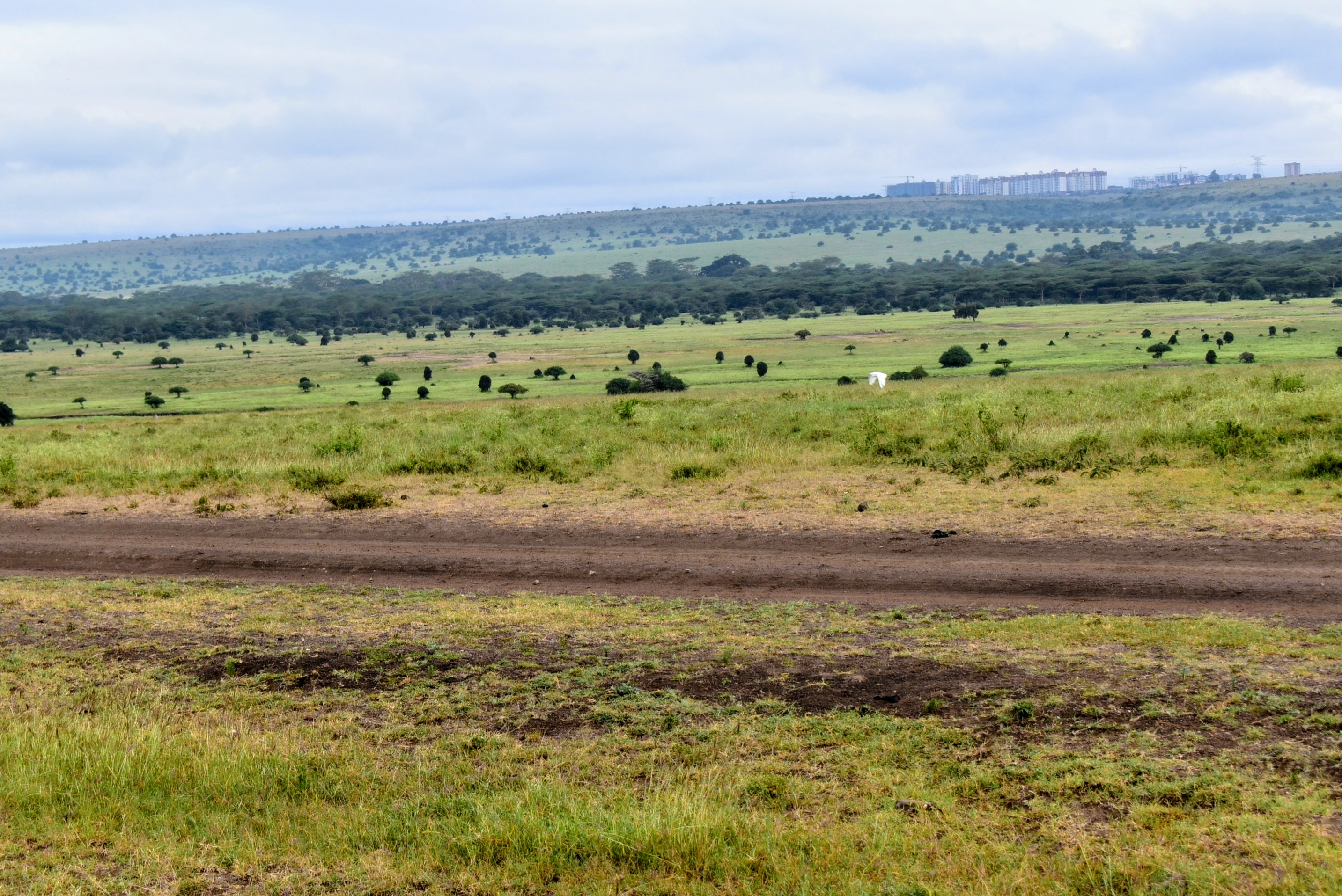 Paradiso: The Lost Wildlife Haven of Naretunoi